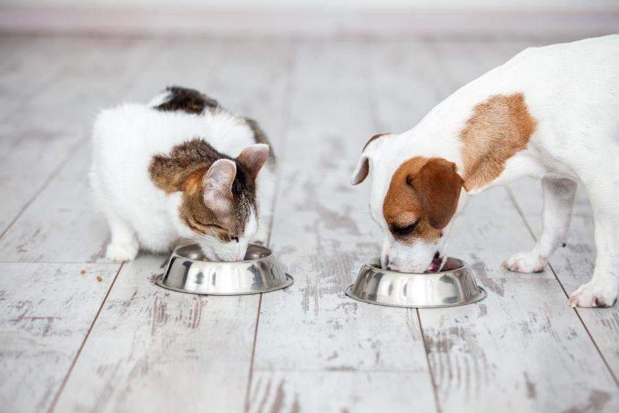 Nutrition Service published professional or clinic image