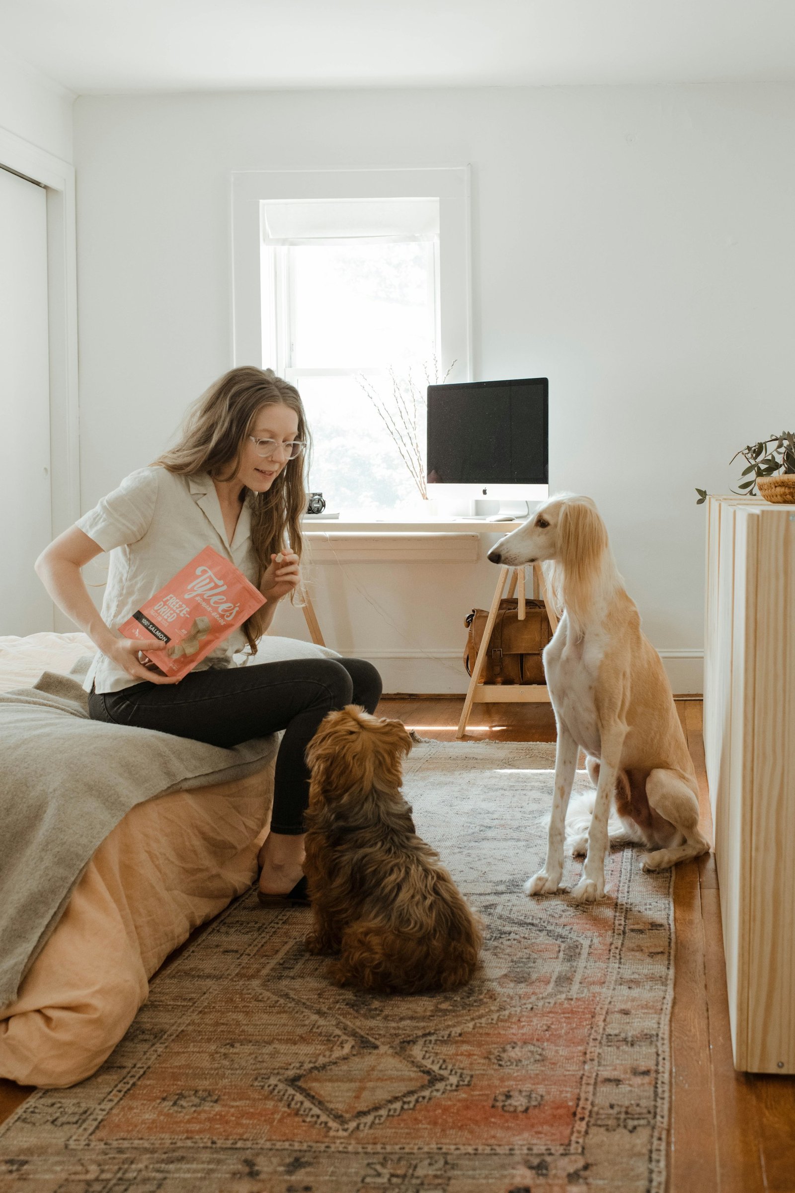 Dog owner at home caring for two dogs