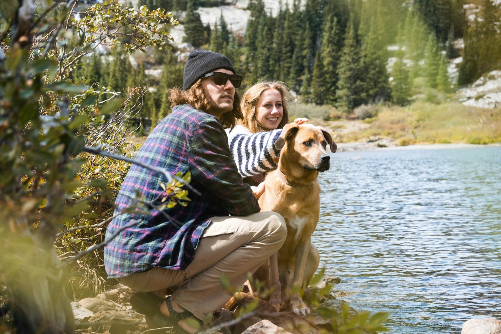 A quiet moment between a caregiver and a beloved dog