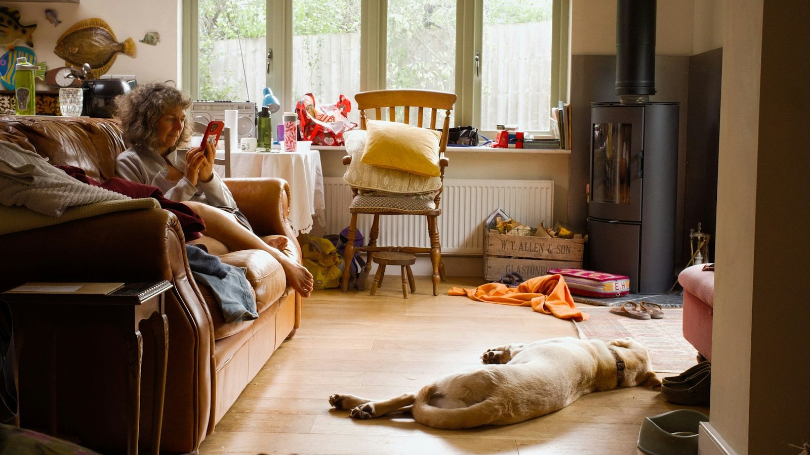 Senior dog receiving attentive care at home