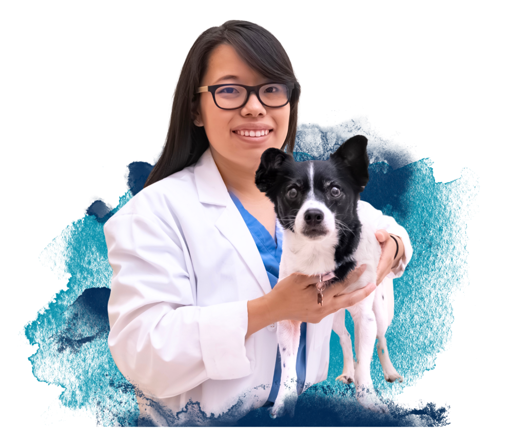 William R. Pritchard Veterinary Medical Teaching Hospital published professional or clinic image