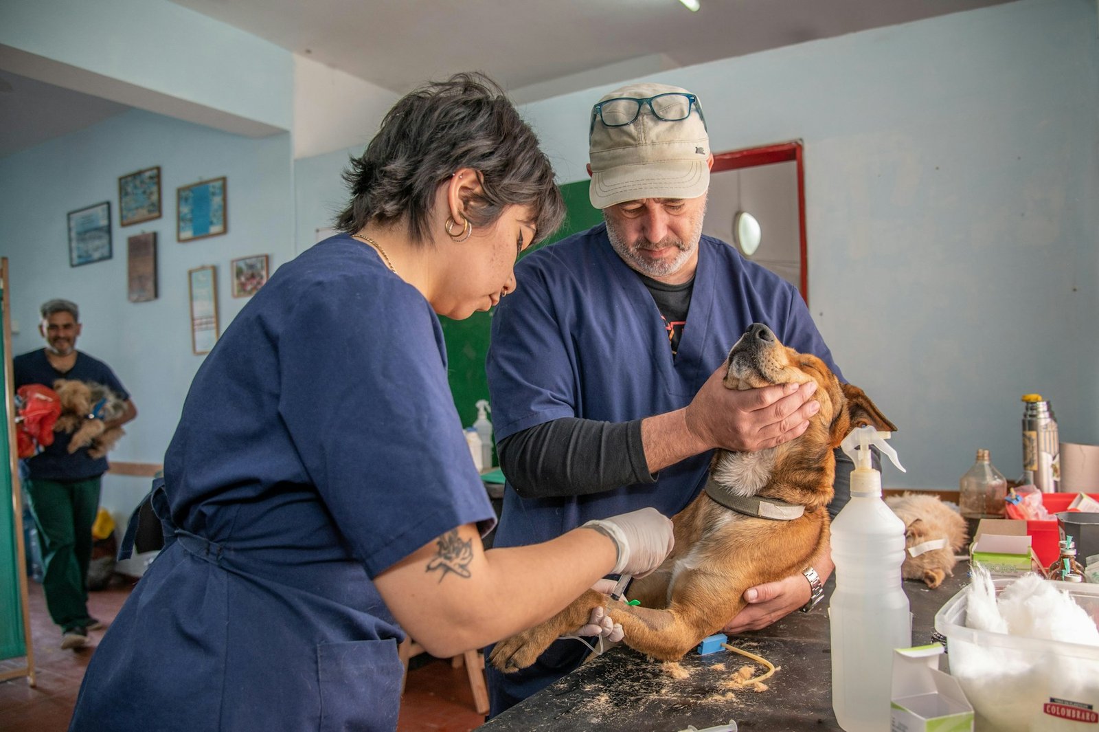 Pet professional meeting a family